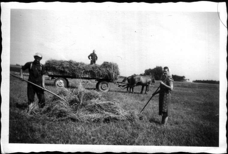garrey heufahren fotosammlung von georg funk