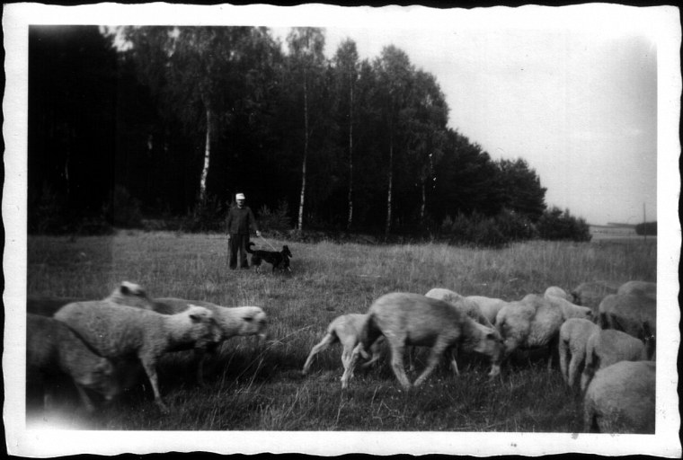 garrey fotosammlung von georg funk