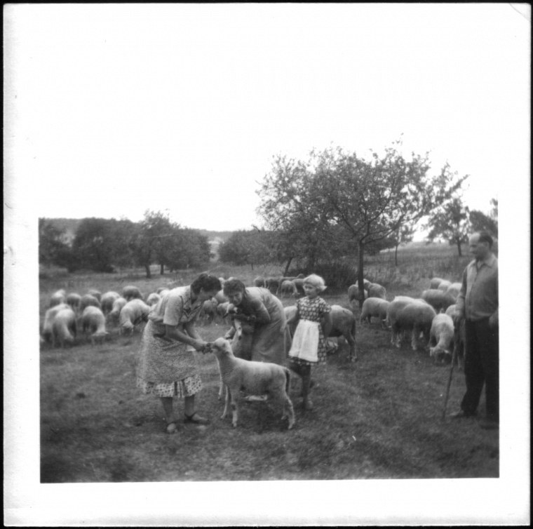 garrey fotosammlung von georg funk