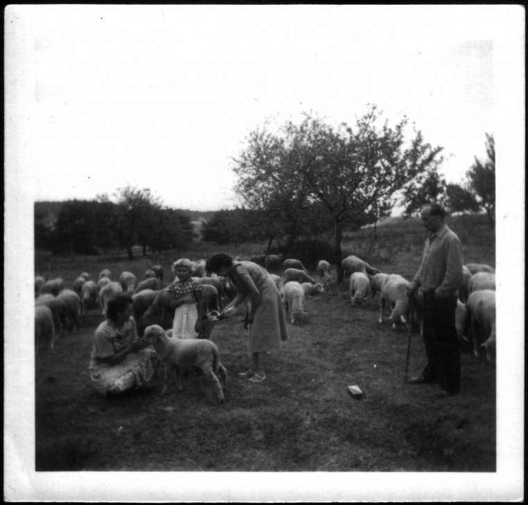 garrey schage tränken fotosammlung von georg funk