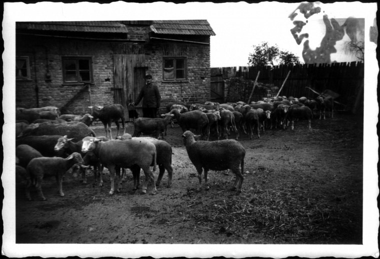 vater garrey fotosammlung von georg funk