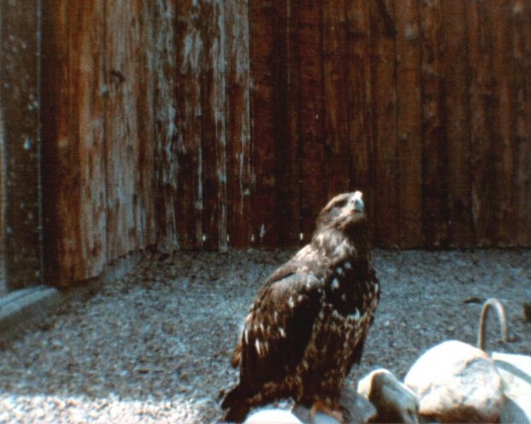 fotoalbum ich blaues diese fotos stammen aus meinem alten blauen welches angelegt habe als jahre alt war