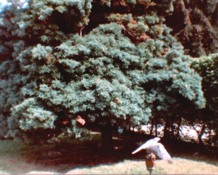 fotoalbum ich blaues diese fotos stammen aus meinem alten blauen welches angelegt habe als jahre alt war