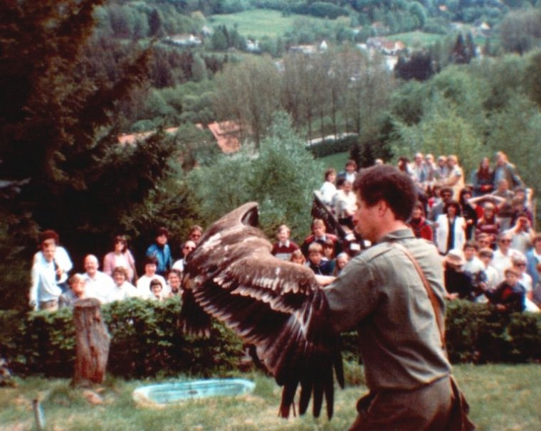 fotoalbum ich blaues diese fotos stammen aus meinem alten blauen welches angelegt habe als jahre alt war