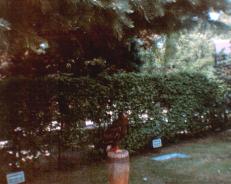 fotoalbum ich blaues diese fotos stammen aus meinem alten blauen welches angelegt habe als jahre alt war