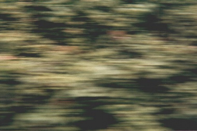 einer film mit einweg kamera habe ich während zugfahrt nach lippstadt und bei mir hinter dem haus diese schnappschüsse geschossen