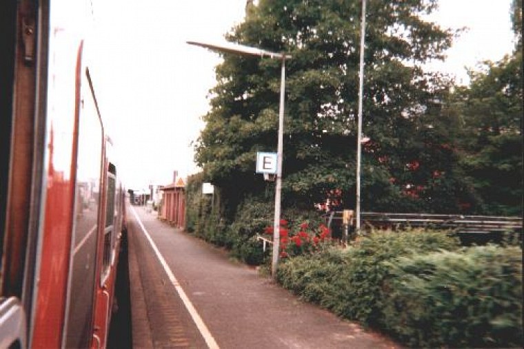 einer film mit einweg kamera habe ich während zugfahrt nach lippstadt und bei mir hinter dem haus diese schnappschüsse geschossen