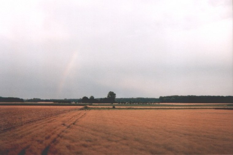 einer film mit einweg kamera habe ich während zugfahrt nach lippstadt und bei mir hinter dem haus diese schnappschüsse geschossen