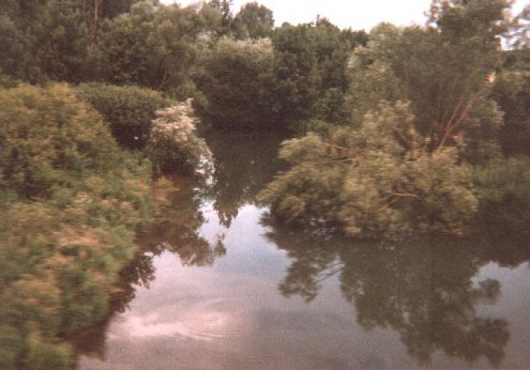 einer film mit einweg kamera habe ich während zugfahrt nach lippstadt und bei mir hinter dem haus diese schnappschüsse geschossen