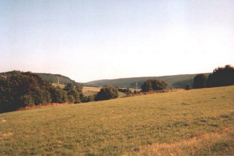 einer film mit einweg kamera habe ich während zugfahrt nach lippstadt und bei mir hinter dem haus diese schnappschüsse geschossen