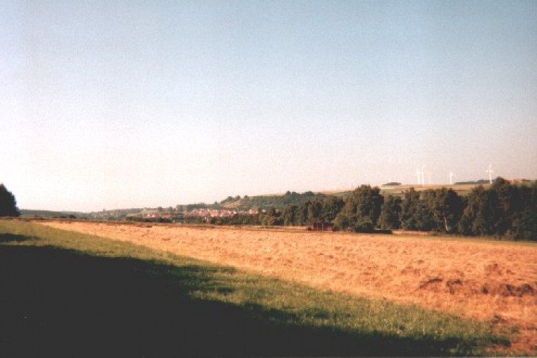 einer film mit einweg kamera habe ich während zugfahrt nach lippstadt und bei mir hinter dem haus diese schnappschüsse geschossen