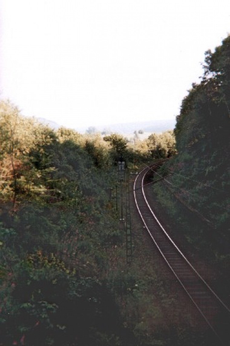 einer film mit einweg kamera habe ich während zugfahrt nach lippstadt und bei mir hinter dem haus diese schnappschüsse geschossen