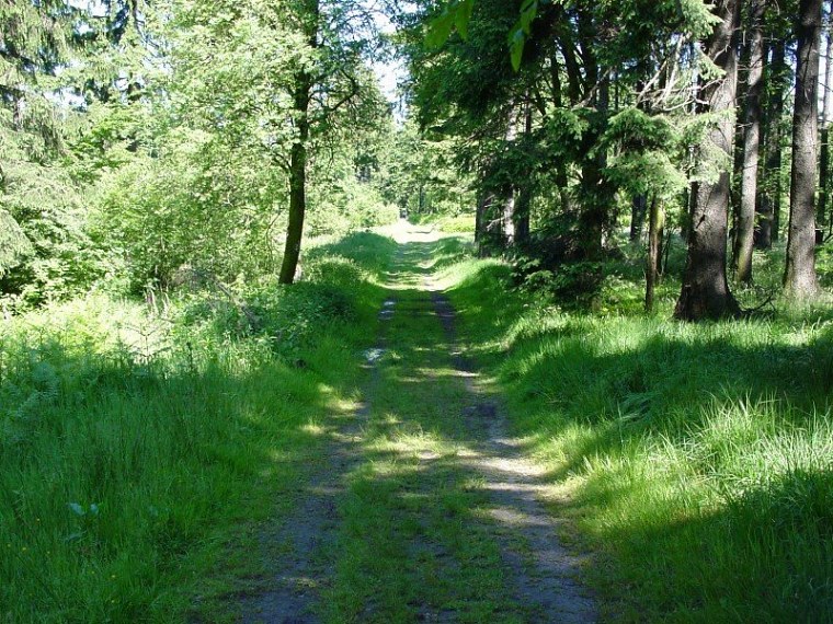 zur velmerstot wanderung mit bin ich zusammen meiner mutter vom rehbergparkplatz zwischen altenbeken und langeland preußischen gewandert zurück ging dann
