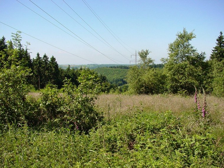 zur velmerstot wanderung mit bin ich zusammen meiner mutter vom rehbergparkplatz zwischen altenbeken und langeland preußischen gewandert zurück ging dann