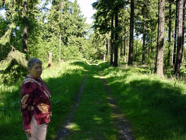 zur velmerstot wanderung mit bin ich zusammen meiner mutter vom rehbergparkplatz zwischen altenbeken und langeland preußischen gewandert zurück ging dann