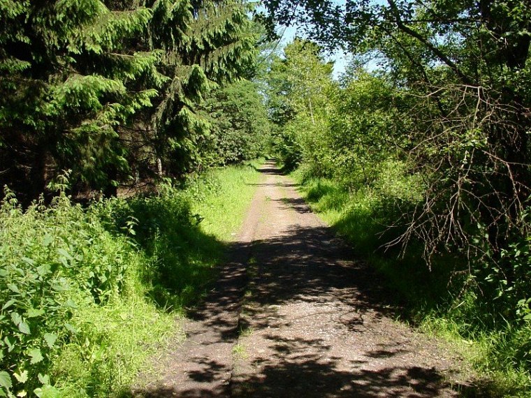 zur velmerstot wanderung mit bin ich zusammen meiner mutter vom rehbergparkplatz zwischen altenbeken und langeland preußischen gewandert zurück ging dann