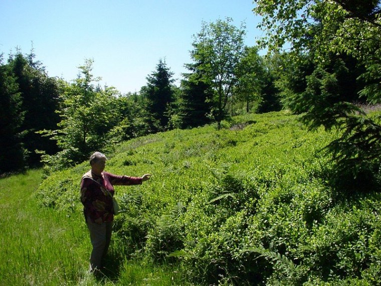 zur velmerstot wanderung mit bin ich zusammen meiner mutter vom rehbergparkplatz zwischen altenbeken und langeland preußischen gewandert zurück ging dann