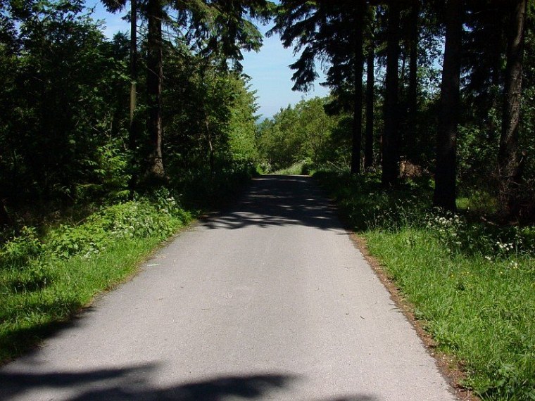 zur velmerstot wanderung mit bin ich zusammen meiner mutter vom rehbergparkplatz zwischen altenbeken und langeland preußischen gewandert zurück ging dann