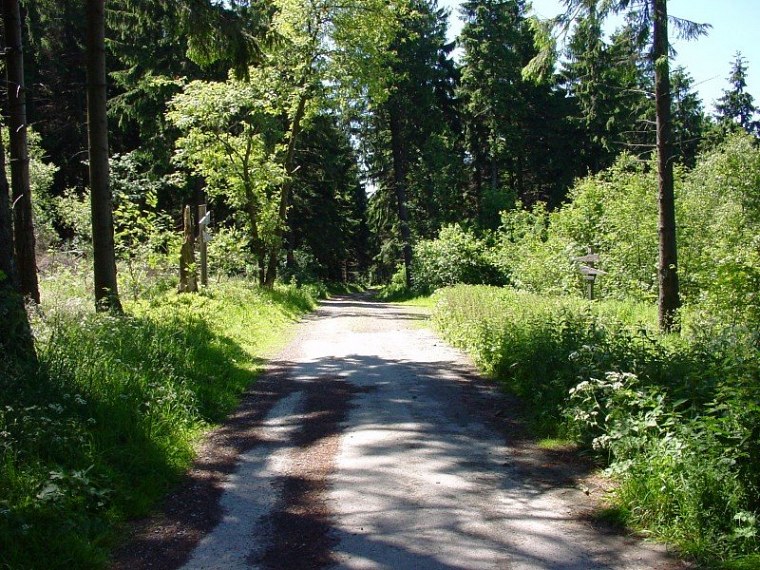 zur velmerstot wanderung mit bin ich zusammen meiner mutter vom rehbergparkplatz zwischen altenbeken und langeland preußischen gewandert zurück ging dann