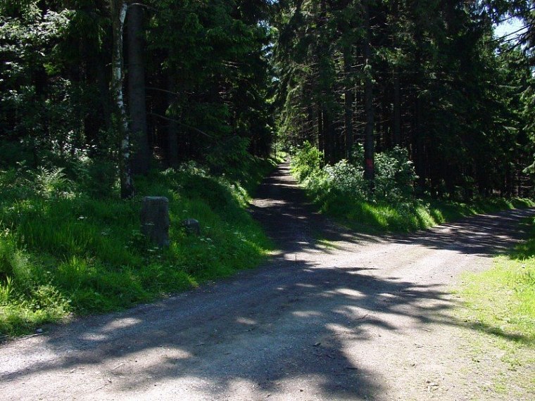 zur velmerstot wanderung mit bin ich zusammen meiner mutter vom rehbergparkplatz zwischen altenbeken und langeland preußischen gewandert zurück ging dann