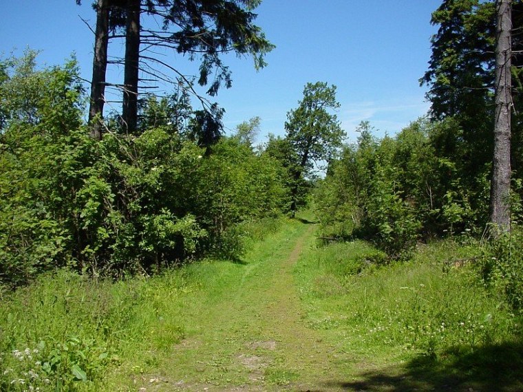 zur velmerstot wanderung mit bin ich zusammen meiner mutter vom rehbergparkplatz zwischen altenbeken und langeland preußischen gewandert zurück ging dann