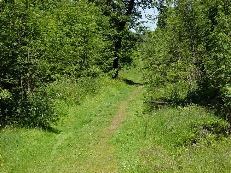 zur velmerstot wanderung mit bin ich zusammen meiner mutter vom rehbergparkplatz zwischen altenbeken und langeland preußischen gewandert zurück ging dann