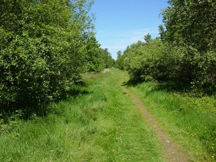 zur velmerstot wanderung mit bin ich zusammen meiner mutter vom rehbergparkplatz zwischen altenbeken und langeland preußischen gewandert zurück ging dann
