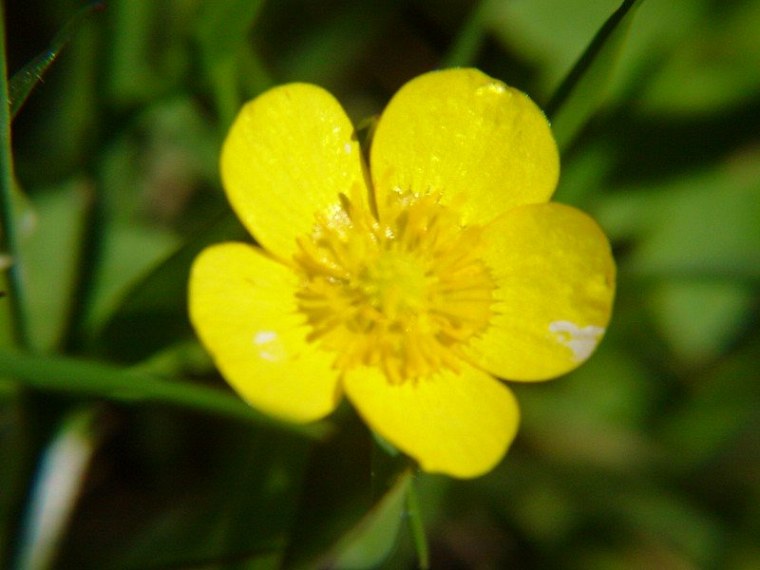 zur velmerstot wanderung mit bin ich zusammen meiner mutter vom rehbergparkplatz zwischen altenbeken und langeland preußischen gewandert zurück ging dann