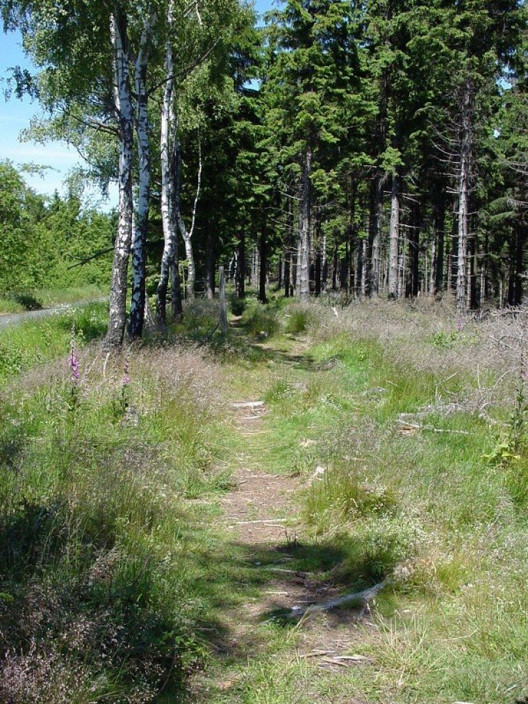 zur velmerstot wanderung mit bin ich zusammen meiner mutter vom rehbergparkplatz zwischen altenbeken und langeland preußischen gewandert zurück ging dann
