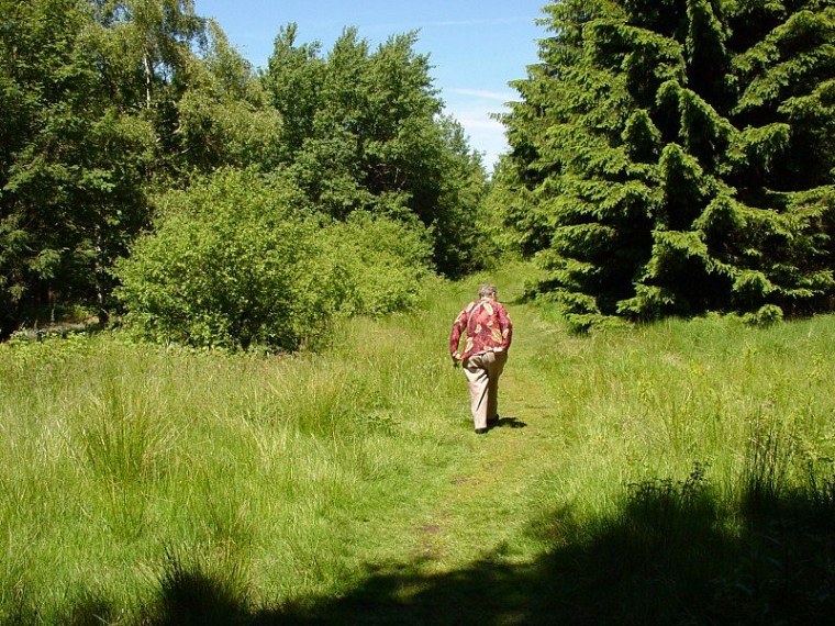 zur velmerstot wanderung mit bin ich zusammen meiner mutter vom rehbergparkplatz zwischen altenbeken und langeland preußischen gewandert zurück ging dann