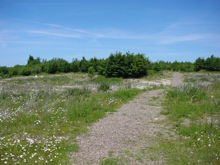 zur velmerstot wanderung mit bin ich zusammen meiner mutter vom rehbergparkplatz zwischen altenbeken und langeland preußischen gewandert zurück ging dann