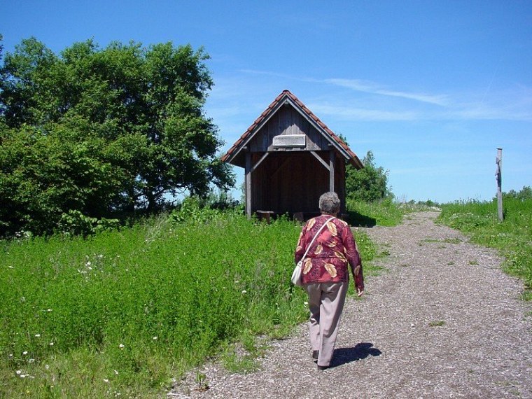 zur velmerstot wanderung mit bin ich zusammen meiner mutter vom rehbergparkplatz zwischen altenbeken und langeland preußischen gewandert zurück ging dann