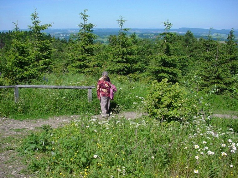 zur velmerstot wanderung mit bin ich zusammen meiner mutter vom rehbergparkplatz zwischen altenbeken und langeland preußischen gewandert zurück ging dann