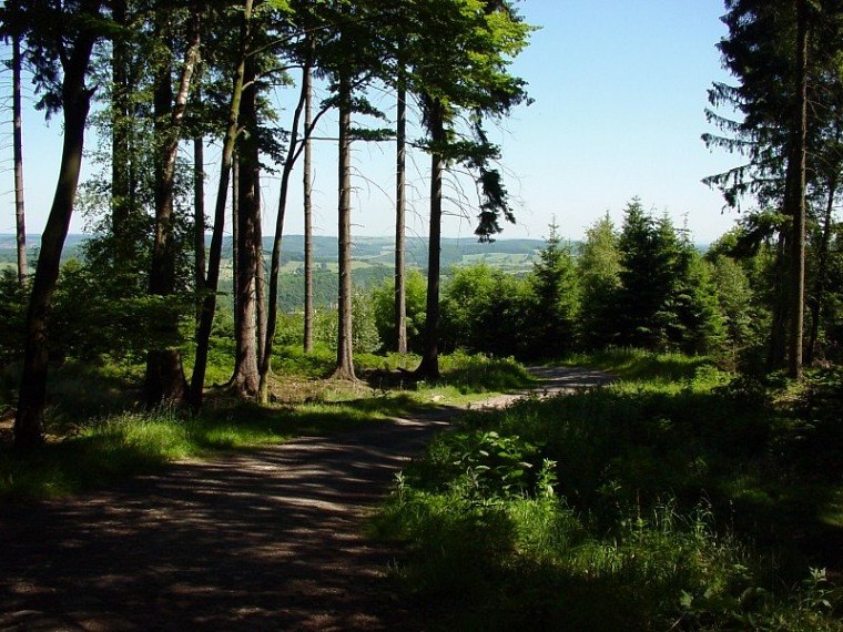 zur velmerstot wanderung mit bin ich zusammen meiner mutter vom rehbergparkplatz zwischen altenbeken und langeland preußischen gewandert zurück ging dann