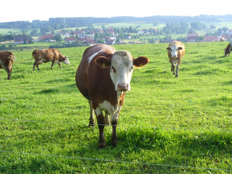 fahrradtour nach konstanz