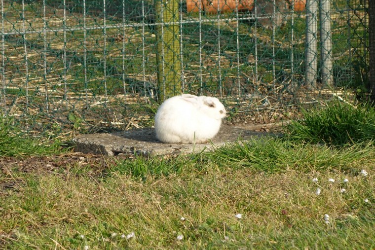durch von aus eine dsc fahrradtour britanien drei wochen lang radelte ich belgien kurz frankreich dann england große runde irland