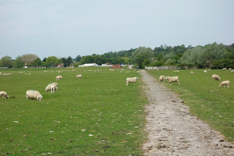 durch von aus eine dsc fahrradtour britanien drei wochen lang radelte ich belgien kurz frankreich dann england große runde irland