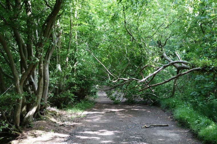 durch von aus eine dsc fahrradtour britanien drei wochen lang radelte ich belgien kurz frankreich dann england große runde irland