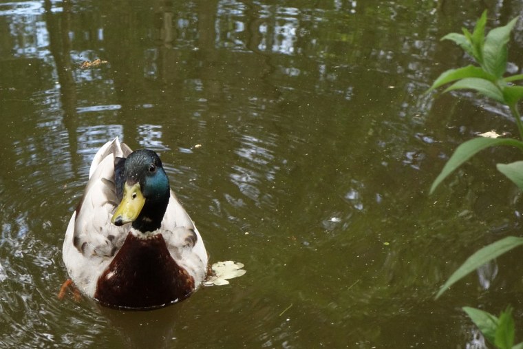 durch von aus eine dsc fahrradtour britanien drei wochen lang radelte ich belgien kurz frankreich dann england große runde irland