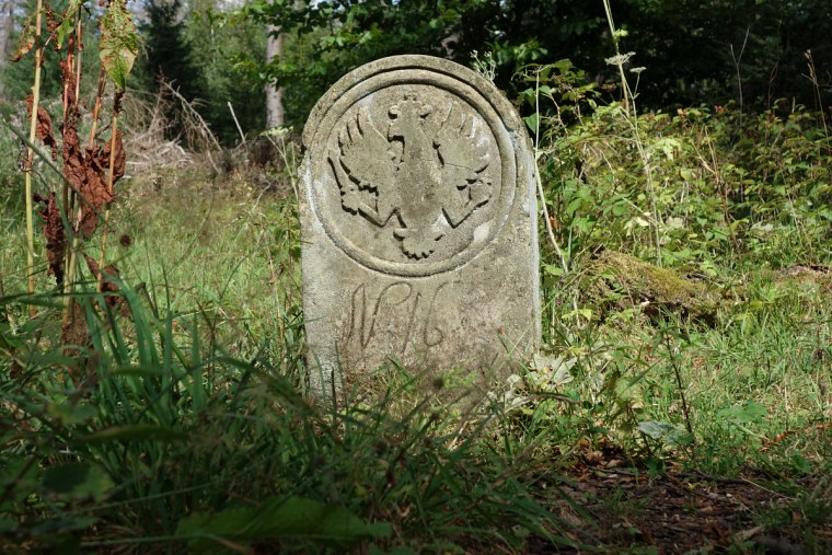 ein alter grenzstein schwarzen kreuz dsc wanderung zur velmerstot bei großer hitze durch den sterbenden wald des eggegebirges