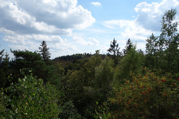 des velmerstot blick zum aussichtsturm preußischen dsc wanderung zur bei großer hitze durch den sterbenden wald eggegebirges