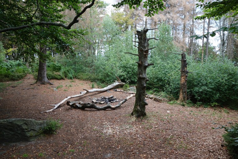 velmerstot abgebranntes lagerfeuer auf der lippischen dsc wanderung zur bei großer hitze durch den sterbenden wald des eggegebirges