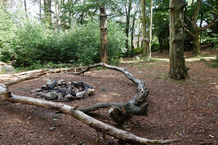 velmerstot abgebranntes lagerfeuer auf der lippischen dsc wanderung zur bei großer hitze durch den sterbenden wald des eggegebirges