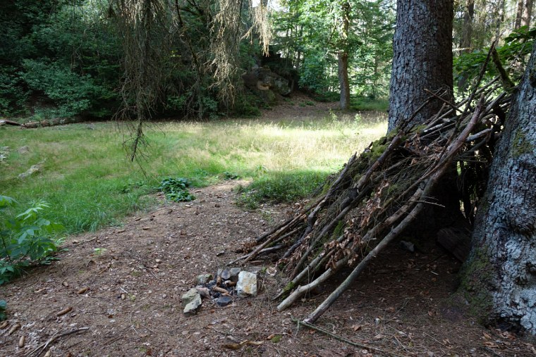 velmerstot schlafstelle alten steinbruch der lippischen dsc wanderung zur bei großer hitze durch den sterbenden wald des eggegebirges